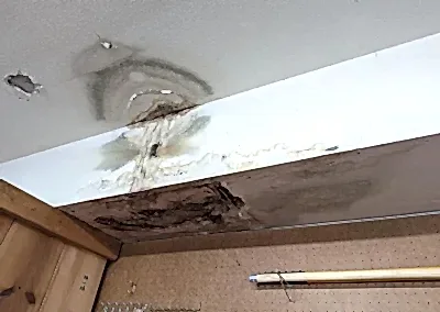 Termal kamera ve akustik dinleme cihazlarıyla su kaçağı tespiti.