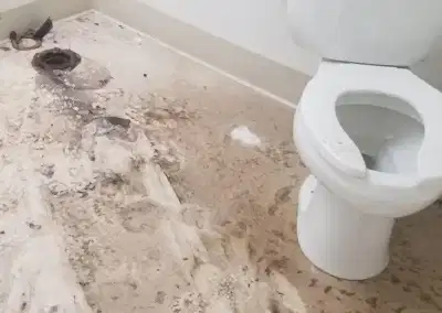 Kimyasal tuvalet açıcıların tesisata ve insan sağlığına zararları
